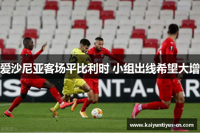 爱沙尼亚客场平比利时 小组出线希望大增