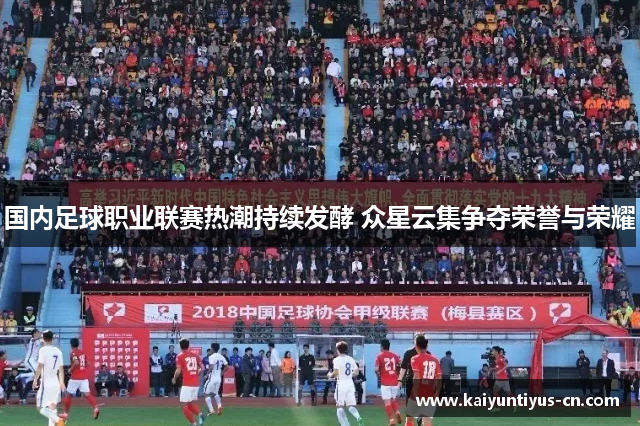 国内足球职业联赛热潮持续发酵 众星云集争夺荣誉与荣耀