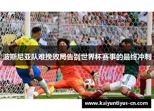 波斯尼亚队难挽败局告别世界杯赛事的最终冲刺