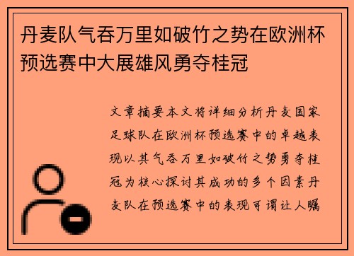 丹麦队气吞万里如破竹之势在欧洲杯预选赛中大展雄风勇夺桂冠