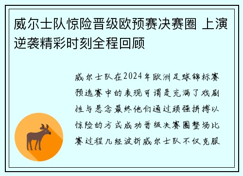 威尔士队惊险晋级欧预赛决赛圈 上演逆袭精彩时刻全程回顾