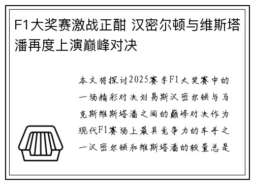 F1大奖赛激战正酣 汉密尔顿与维斯塔潘再度上演巅峰对决
